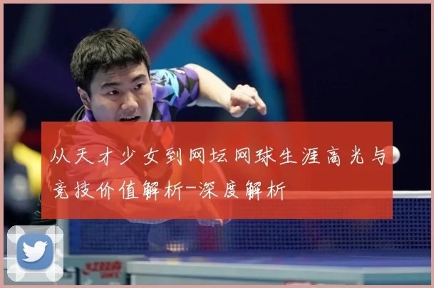 从天才少女到网坛网球生涯高光与竞技价值解析-深度解析