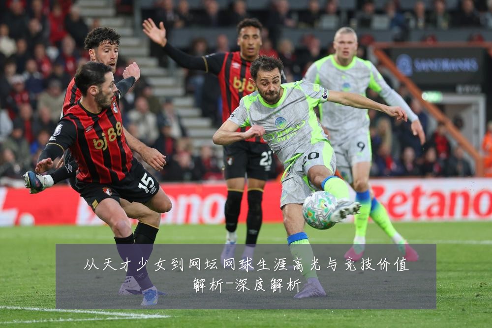 从天才少女到网坛网球生涯高光与竞技价值解析-深度解析
